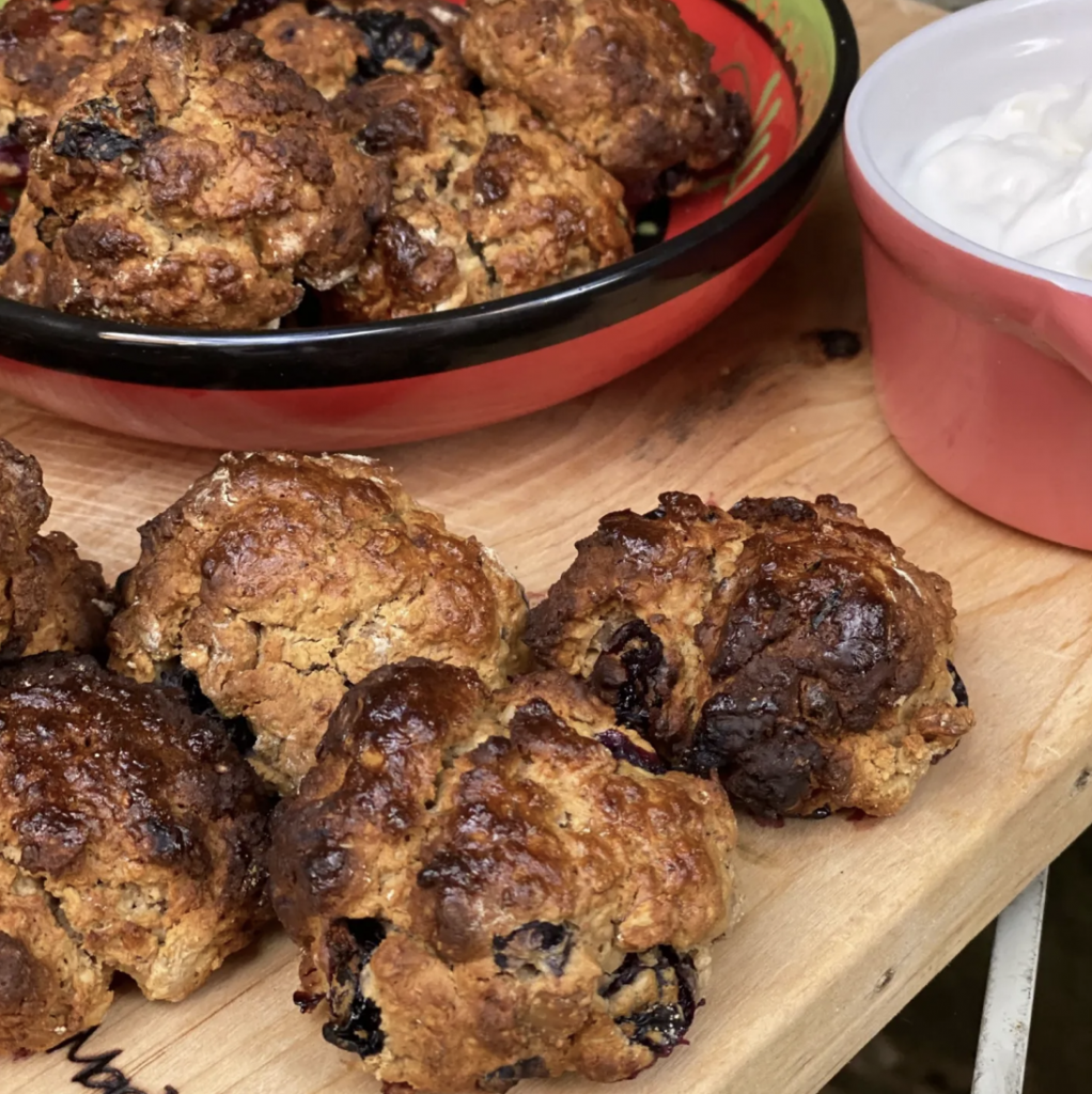 Blueberry Oat Scone Bites - Fitter Food - Fitter Food